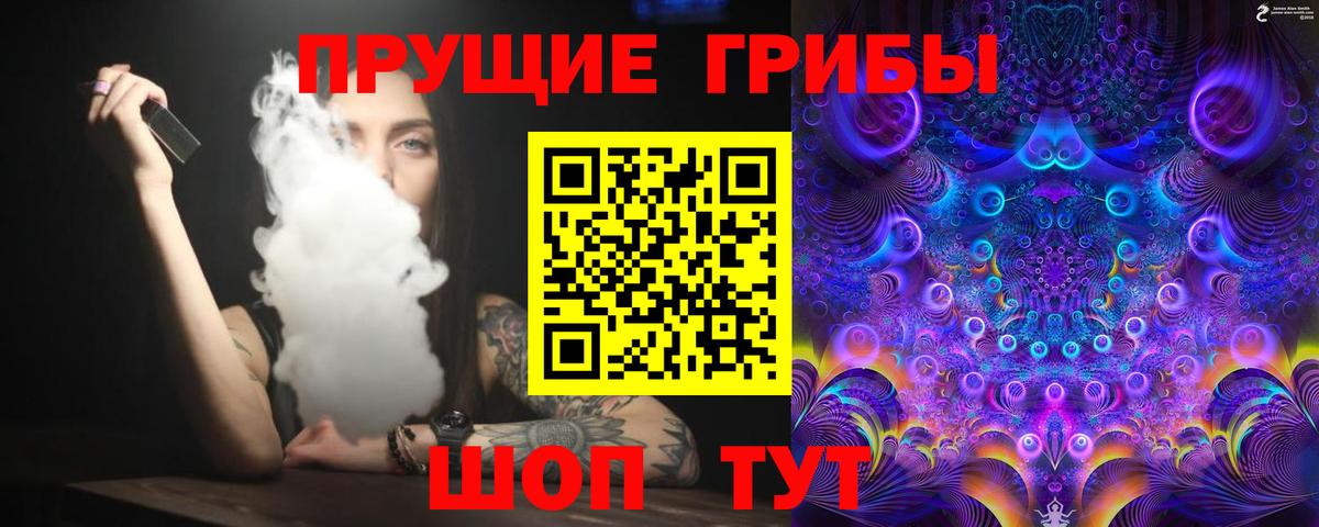 Зерноград  Псилоцибиновые грибы Cubensis  Вход с VPN 
